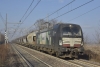 EVM_E191_023_Lerino.jpg