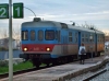 FSE_Ad-41_Zollino_001.jpg