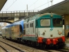 FS_D345_1113_Treviso_2810129.JPG