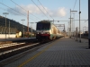 FS_E402_012_Prato_Centrale.jpg