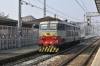 FS_E656_492_Parma_001.jpg