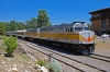IMGP8153_001.jpg