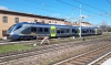 MD-032_Treviso.jpg