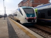 MD-087_Treviso.jpg