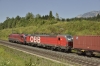 OBB_E193_095_Nehuaus_001.jpg