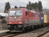 P1230001.JPG