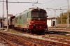 PICT0001~2.JPG