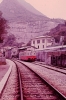 PICT0005-1.jpg