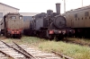 PICT0011~0.JPG