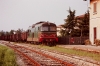 PICT0019-1.jpg