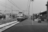 PICT0063-1.JPG