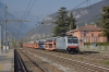 RT_E186_286_Peri_001.jpg