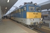 START_431_290_Kelenold_001.jpg