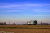 TI_ALn668_1260_Cerea_001.jpg