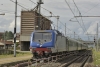 TI_E464_389_Carmagnola_001.jpg