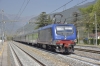 TI_E464_567_Peri_001.jpg