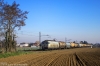 TI_E652_089_Cerea_001.jpg