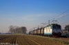 TI_E652_095_Cerea_001.jpg