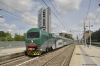 TN_TAF-215_Milano_Affori_001jpg.jpg