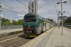 TN_TSR-R4_083_Affori_001.jpg