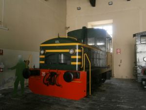 Foto: Salvatore De Liso