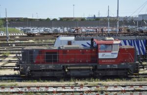 Foto: Salvatore De Liso