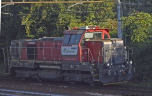 Foto: Salvatore De Liso