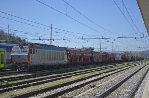 Foto: Salvatore De Liso