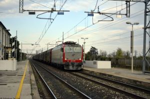 Foto: Salvatore De Liso