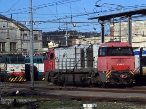 Foto: Salvatore De Liso