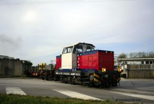 Foto: Salvatore De Liso