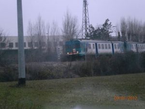 Foto: Salvatore De Liso