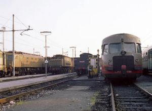 Foto: Arnaldo Vescovo