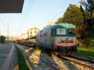 Foto: Marco Camerino