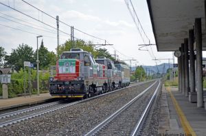Foto: Salvatore De Liso
