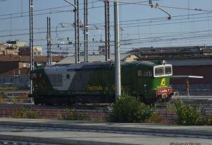 Foto: Salvatore De Liso