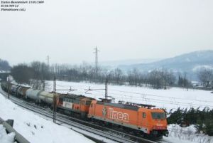 Foto: Enrico Bavestrello