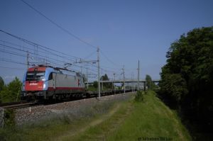Foto: Salvatore De Liso