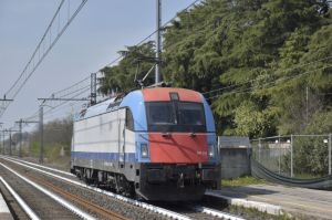 Foto: Salvatore De Liso