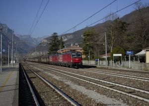 Foto: Salvatore De Liso