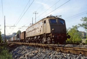 Foto: Arnaldo Vescovo