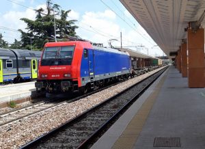 Foto: Marco Bertuola