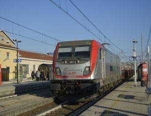 Foto: Salvatore De Liso