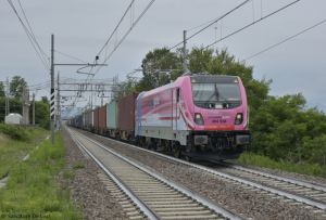 Foto: Salvatore De Liso