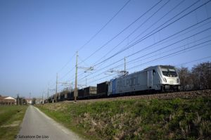 Foto: Salvatore De Liso