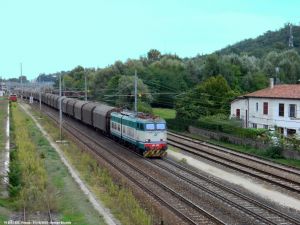 Foto: Riccardo Gennari