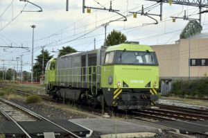 Foto: Salvatore De Liso