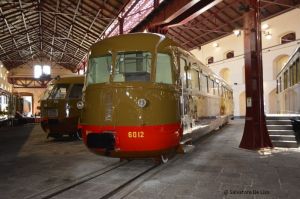 Foto: Salvatore De Liso